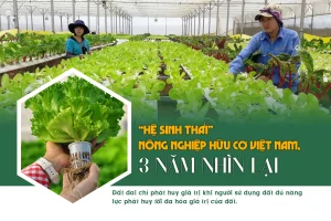 “Hệ sinh thái” nông nghiệp hữu cơ Việt Nam